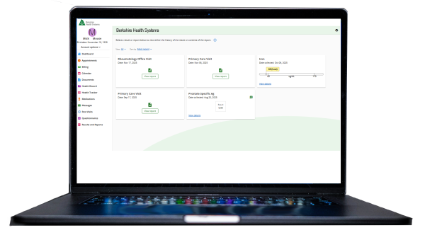 A screenshot of the lab reports page of the new Berkshire Health Systems Patient Portal