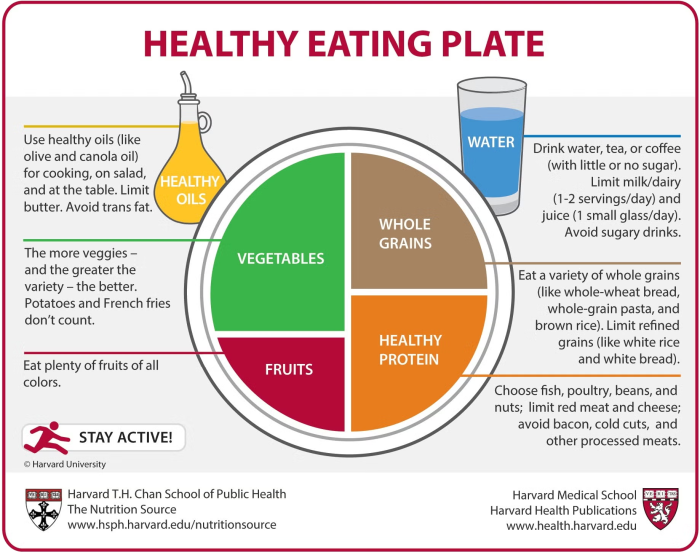 A simple way to think about a balanced plate is to include vegetables, fruits, whole grains, and healthy protein. Healthy snacks, such as fruit, yogurt, whole-grain crackers, vegetables with dip, or a small handful of nuts when age-appropriate, can help keep children fueled throughout the day.