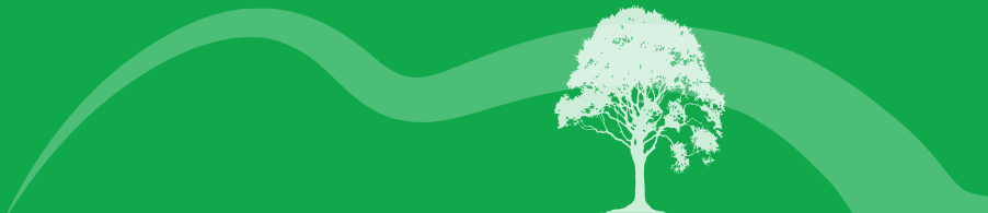 Green Background with soft white swoosh and a white oak tree outline.